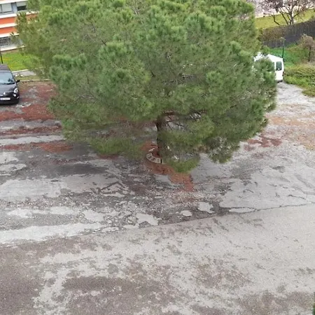 Proche Chu Nîmes